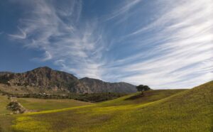Rutas interiores para redescubrir paisajes menos concurridos de España